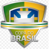Coupe du Brésil
